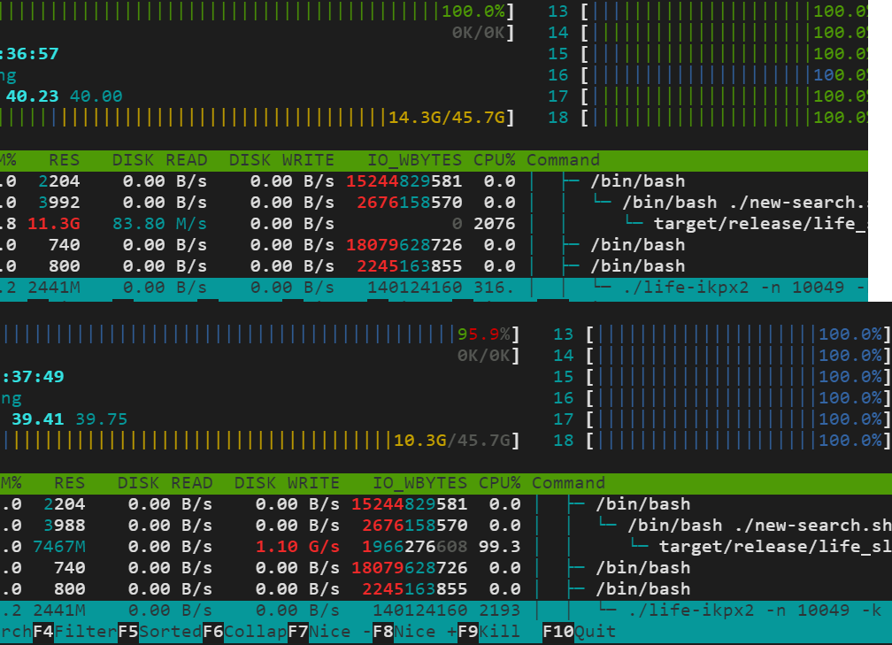 LSSS htop - disk write and read.png