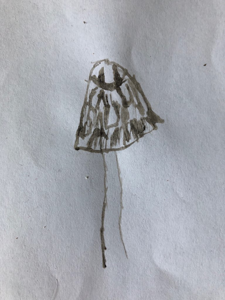 Drawing (of inkcap) with inkcap ink