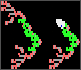 cellmap(1).png
